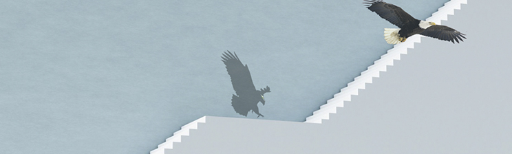 永盈会官网·(中国区)有限公司